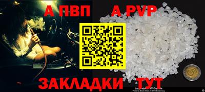 гашик Малгобек